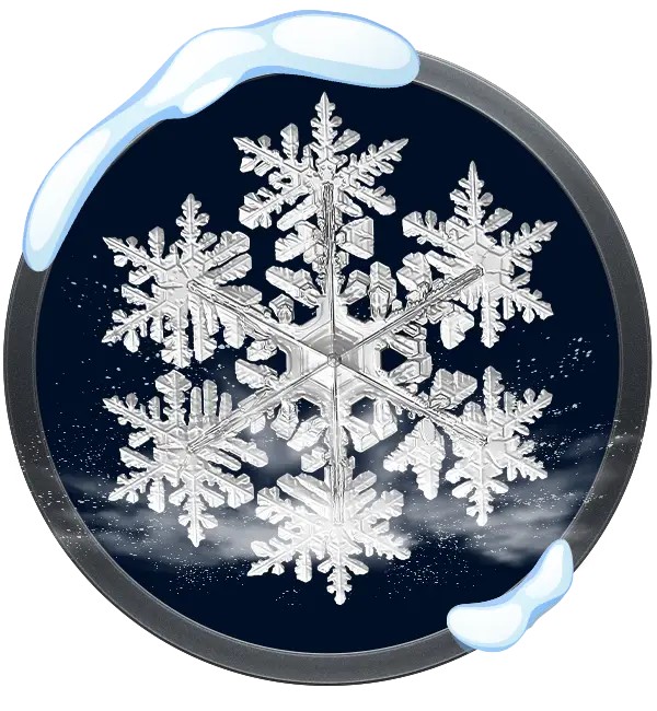 WOSS Leaderboard 4 ICONOS WOSS Leaderboard High