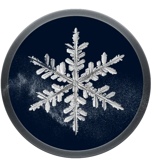 WOSS Leaderboard 5 ICONOS WOSS Leaderboard Low