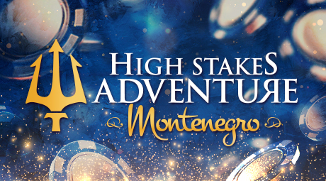 460x255px HSA Montenegro Web